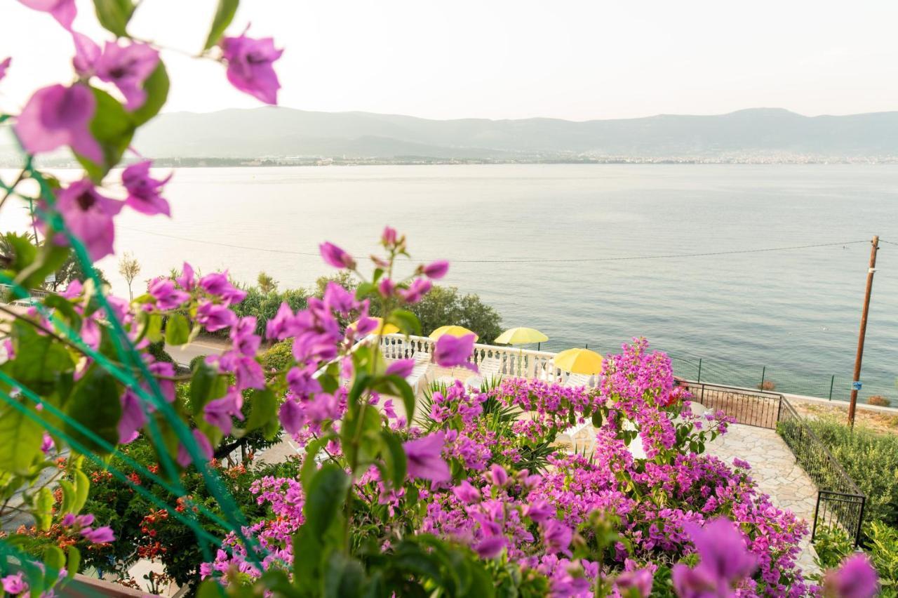 Villa Fjaba - By The Sea - With The Big Terraces & Great Sea View Trogir Exterior photo